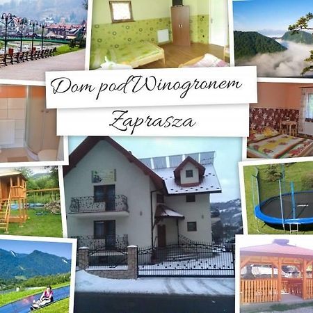 Dom Pod Winogronem Szczawnica Exterior foto